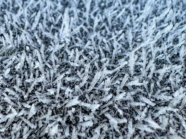 Frost crystals spreading across a cold surface